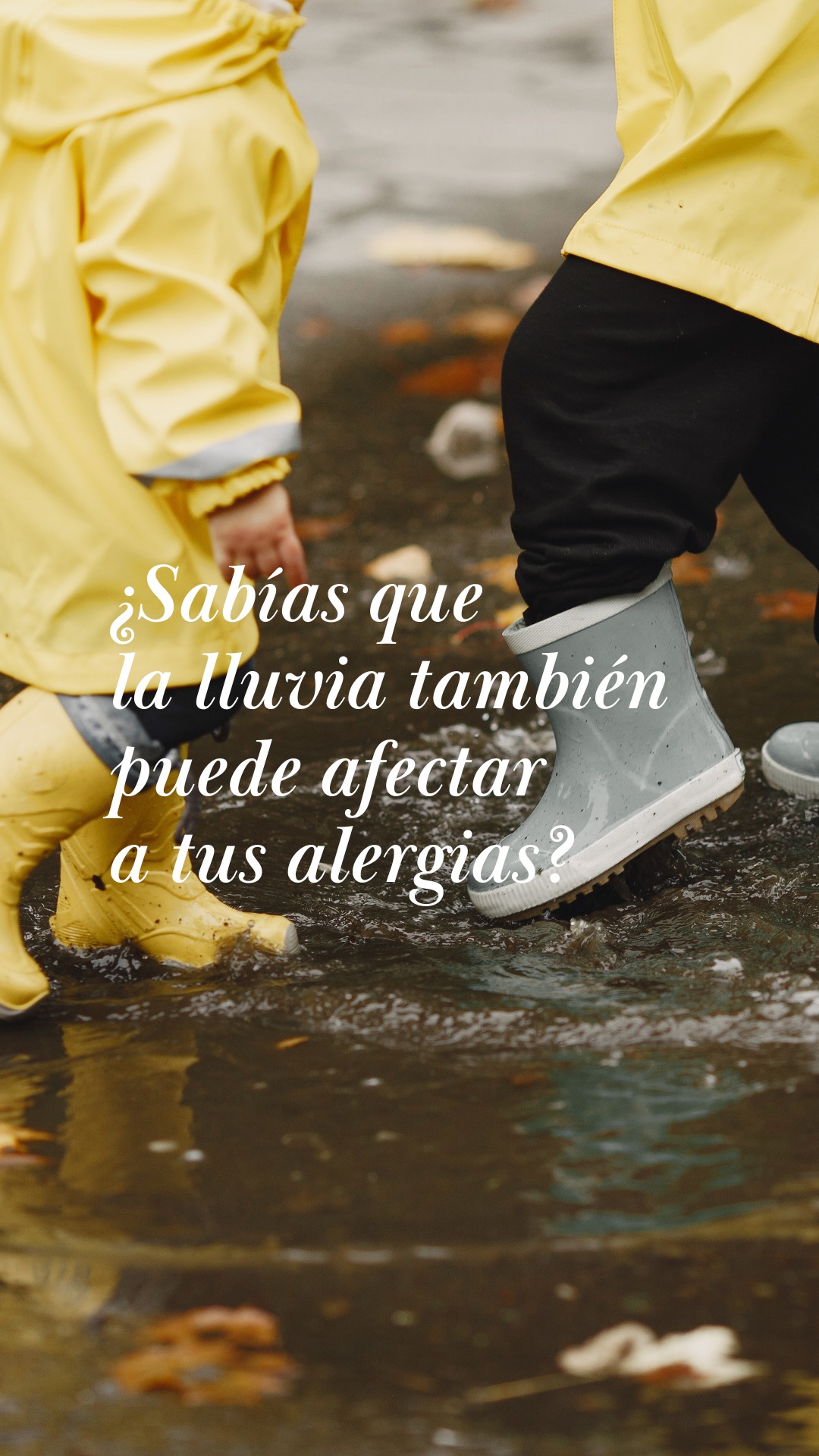 🌧️😅 ¿Sabías que la lluvia también puede afectar a tus alergias?

Aunque el agua parece “limpiar el aire”, la humedad favorece ciertos alérgenos:
💨 Ácaros del polvo: proliferan con la humedad
🍄 Alternaria: hongo presente en ambientes húmedos, que puede aumentar los síntomas respiratorios

💙 Si notas que tus síntomas empeoran con la humedad o cambios de clima, consulta con tu alergólogo para prevenir picos de alergia.
.
#Alergias #ÁcarosDelPolvo #Alternaria #HongoDeLaHumedad #RinitisAlérgica #Asma #DraPaulaRibó #SaludRespiratoria